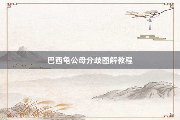 巴西龟公母分歧图解教程